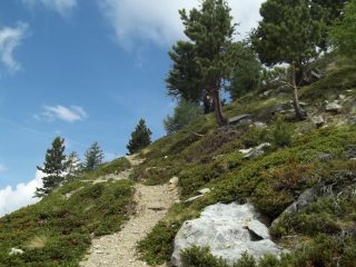 bel sentiero a inizio parte ripida del pendio