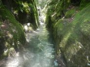 muschiosa la partenza