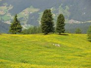 balcone sulla valle di tires