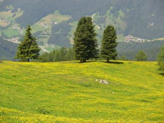 balcone sulla valle di tires