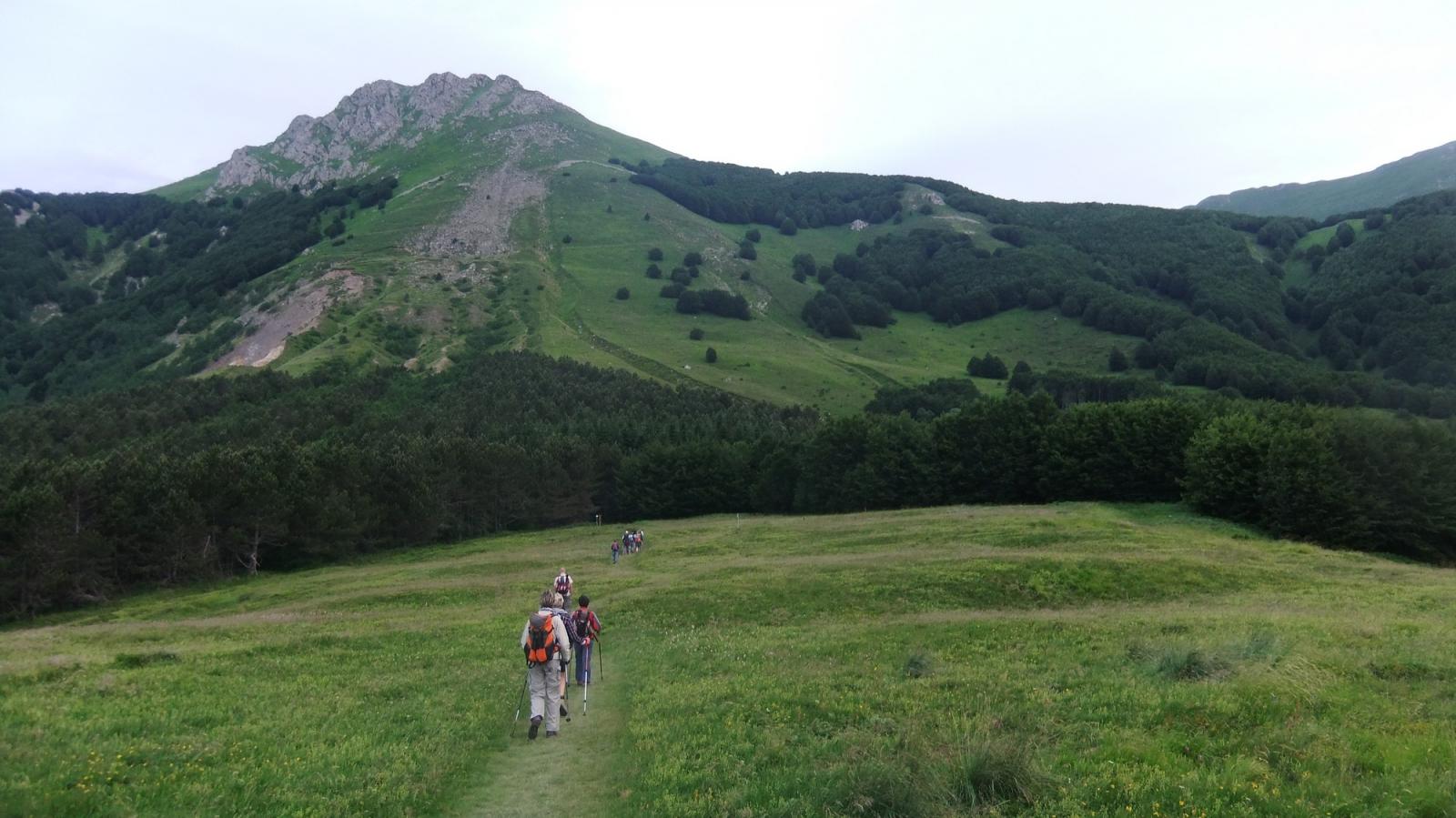 Verso il passo dell'Ospedalaccio