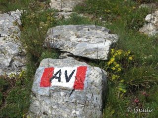 Pietre fiori segnavia e colori