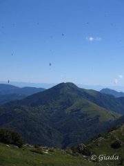 Il Galero e le rondini