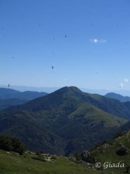 Il Galero e le rondini