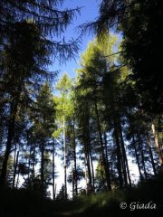 Sulla dorsale che dal colle di Caprauna sale verso il Monte la Guardia