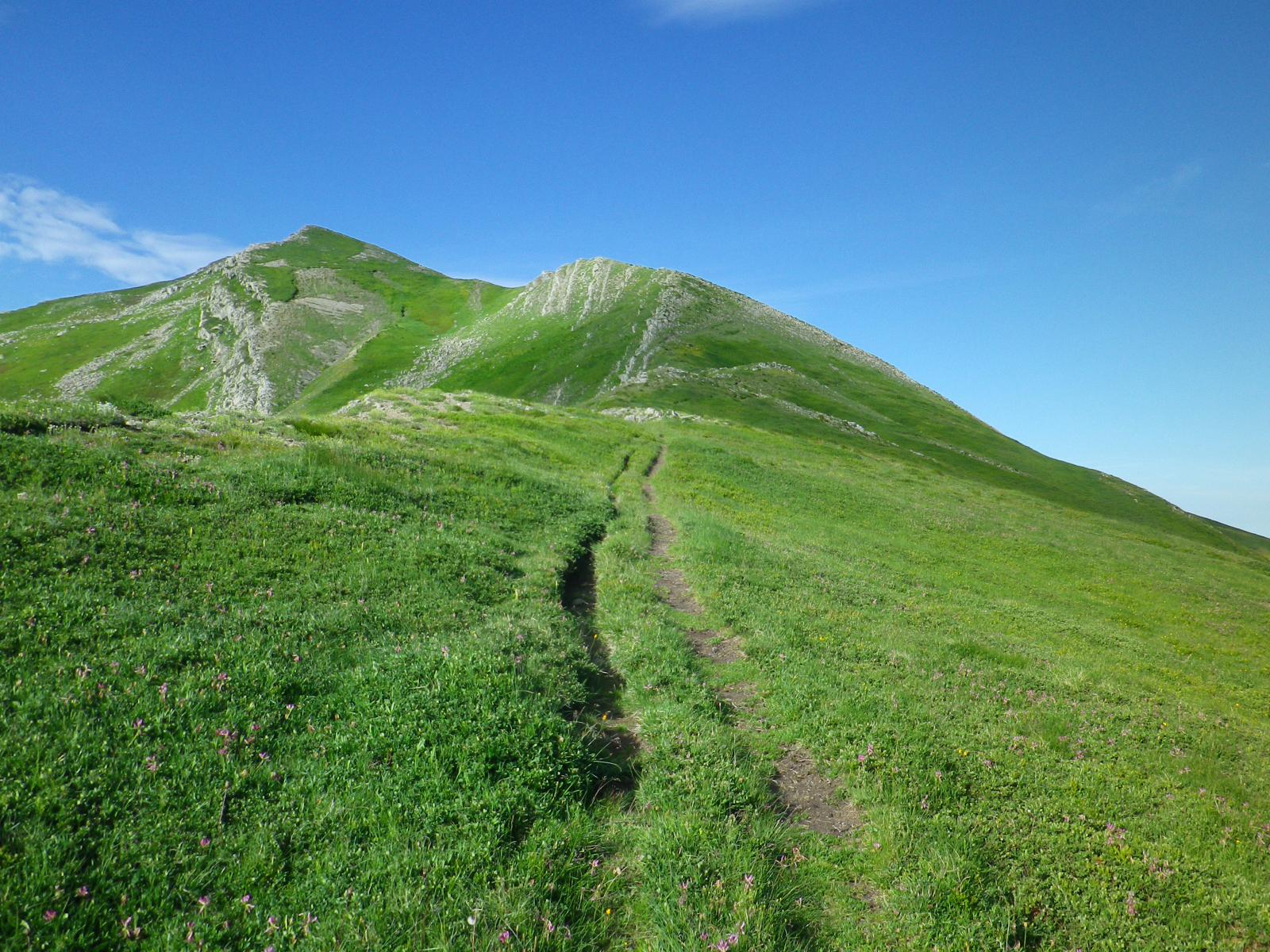 sempre su una bella traccia