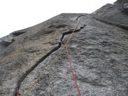 l'orecchio del pachiderma