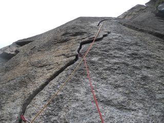 l'orecchio del pachiderma