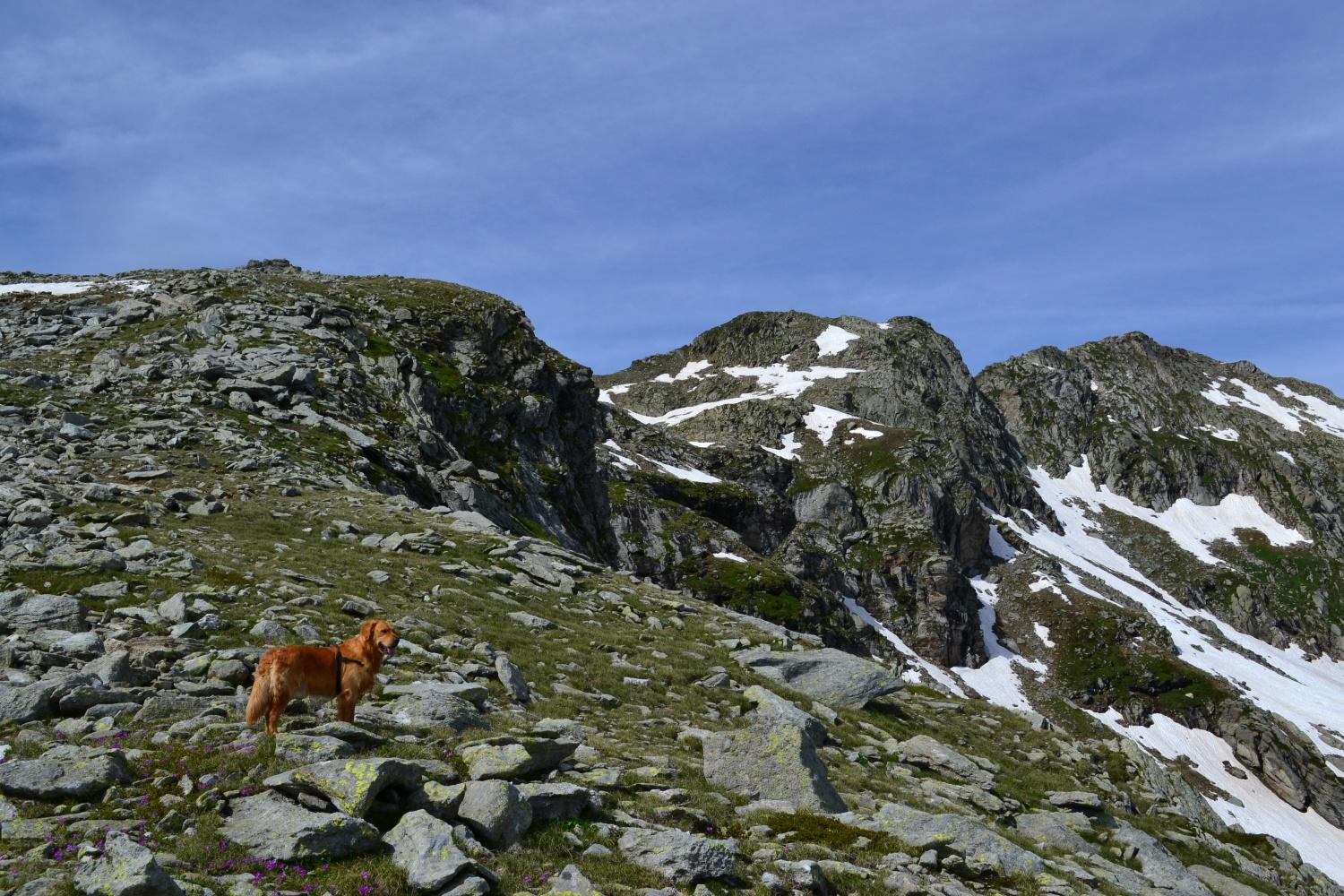 al centro il Monte Giavino