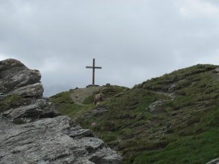 Guarda un po' chi c'è in vetta!