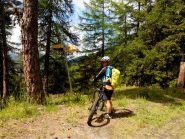 al col de bornes