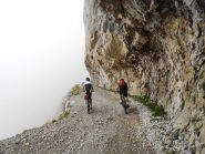 La nebbia dei Signori