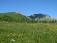 verso il Clot delle pertiche e, lontana, la cima 