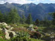 giardino con sfondo gruppo Orsiera Rocciavrè