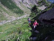 salendo dalla valleile
