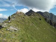 quasi in cima