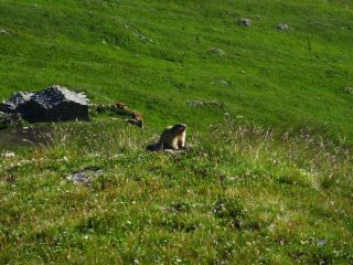 appena uscita di casa