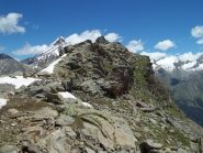 il fourcon della bioula