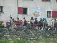 Comitiva con i lama