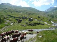 Vista su Dondena