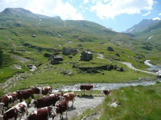 Vista su Dondena