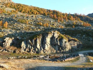 La palestrina (ottobre 2014)