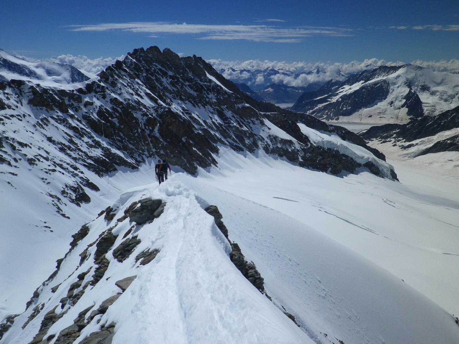 occhio agli incroci, per fortuna c'era poca gente