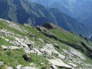 Guardando indietro, dopo la quota 2460, e l'inizio del traverso