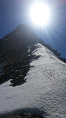crestina finale
