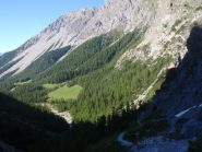 di nuovo alla luce 
