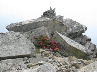 Omino di vetta