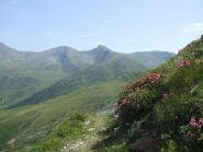 lungo l'Alta Via