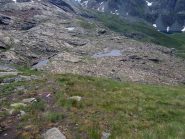 laghi di resy