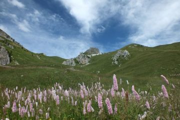 Il Soleglio Bue a destra, dalle malghe lungo la pista.