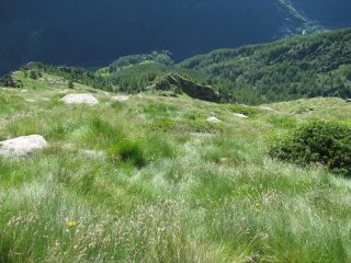 Il pendio di salita, con al centro l'insellatura erbosa