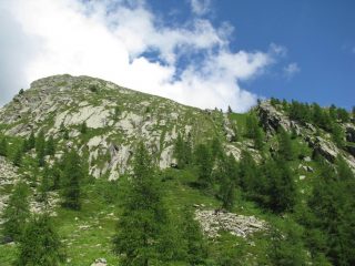 Insellatura erbosa con larice, del percorso alternativo di salita