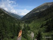 Un occhio vigile veglia sul vallone di Riofreddo
