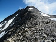 La cresta vista dal Colle. La cima è il dentino in alto a sx