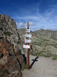 Palina al passo di Tesina