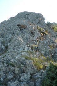 Parte alta verso anticima