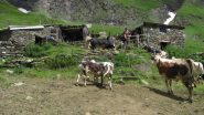 due chiacchiere con il malgaro della Balma