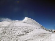 cresta della parrot