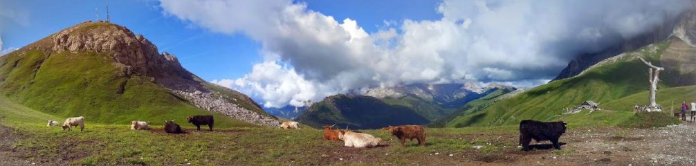 Panorama dal rifugio Friedrich  August