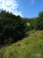 Verso San Giovanni