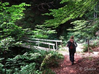 Il pontino che attraversa il Rio Bianco poco prima di arrivare a Viozene