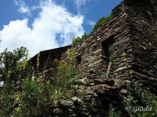 Vecchie case abbandonate a Merea