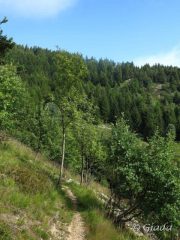 Lungo il sentiero verso San Giovanni