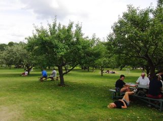 Picnic tra i meli