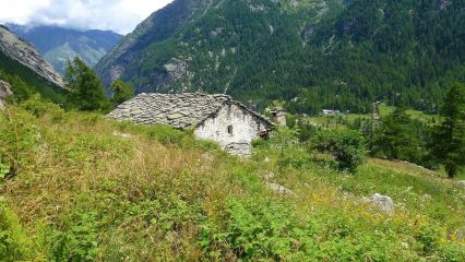 tra le ortiche dell'Alpe Laparay