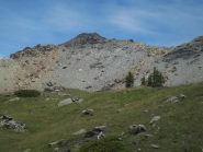 la punta dall'alpeggio piccola lana